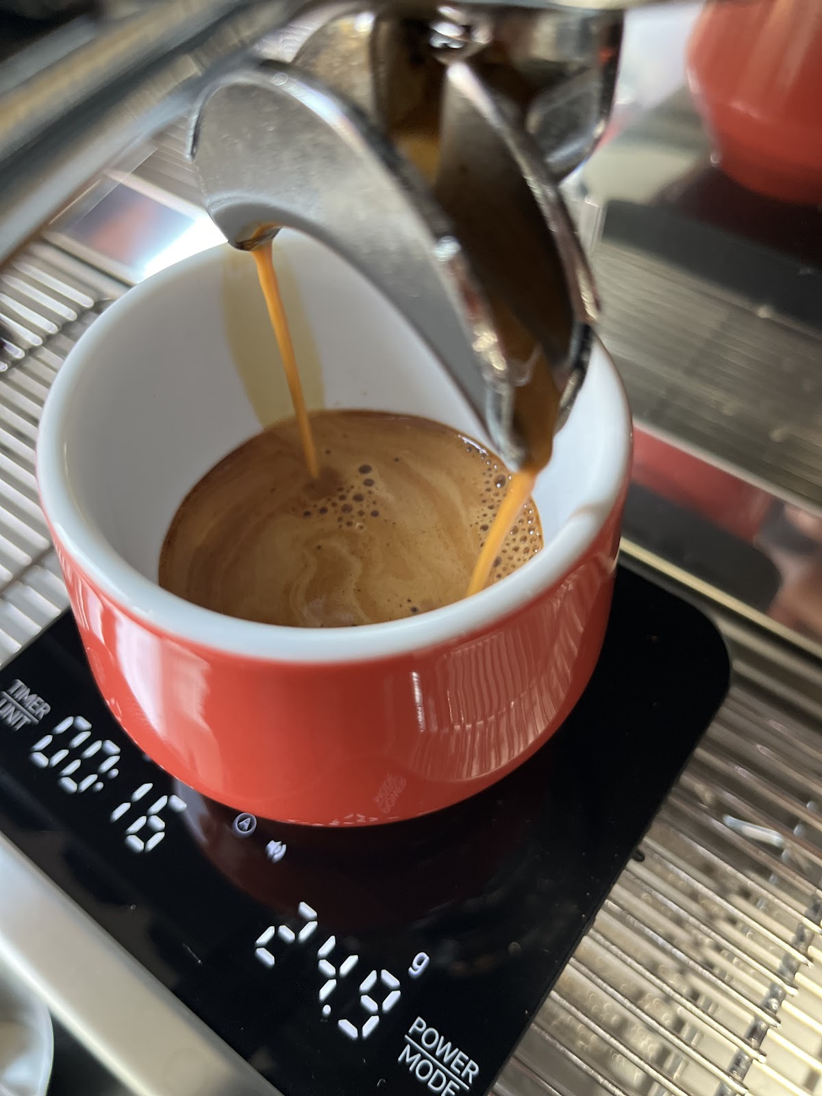 Pura Vida Brews