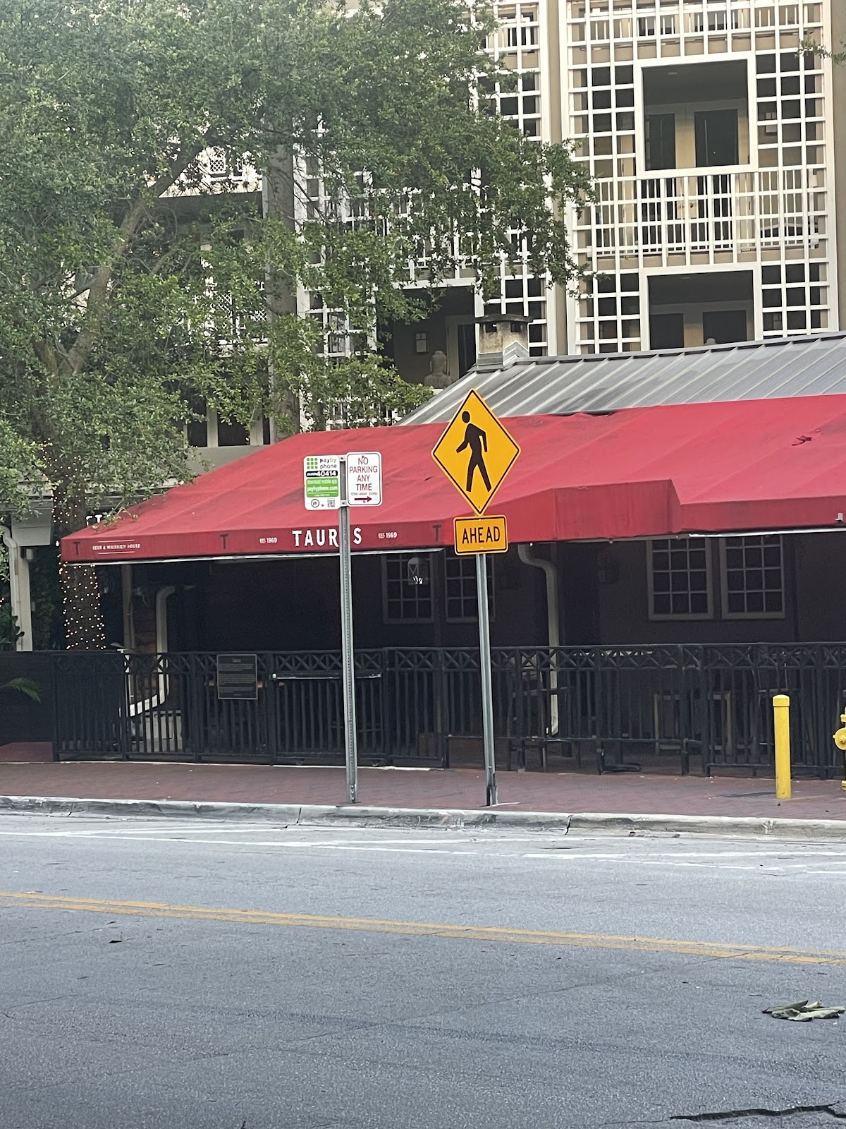 The Taurus Coconut Grove
