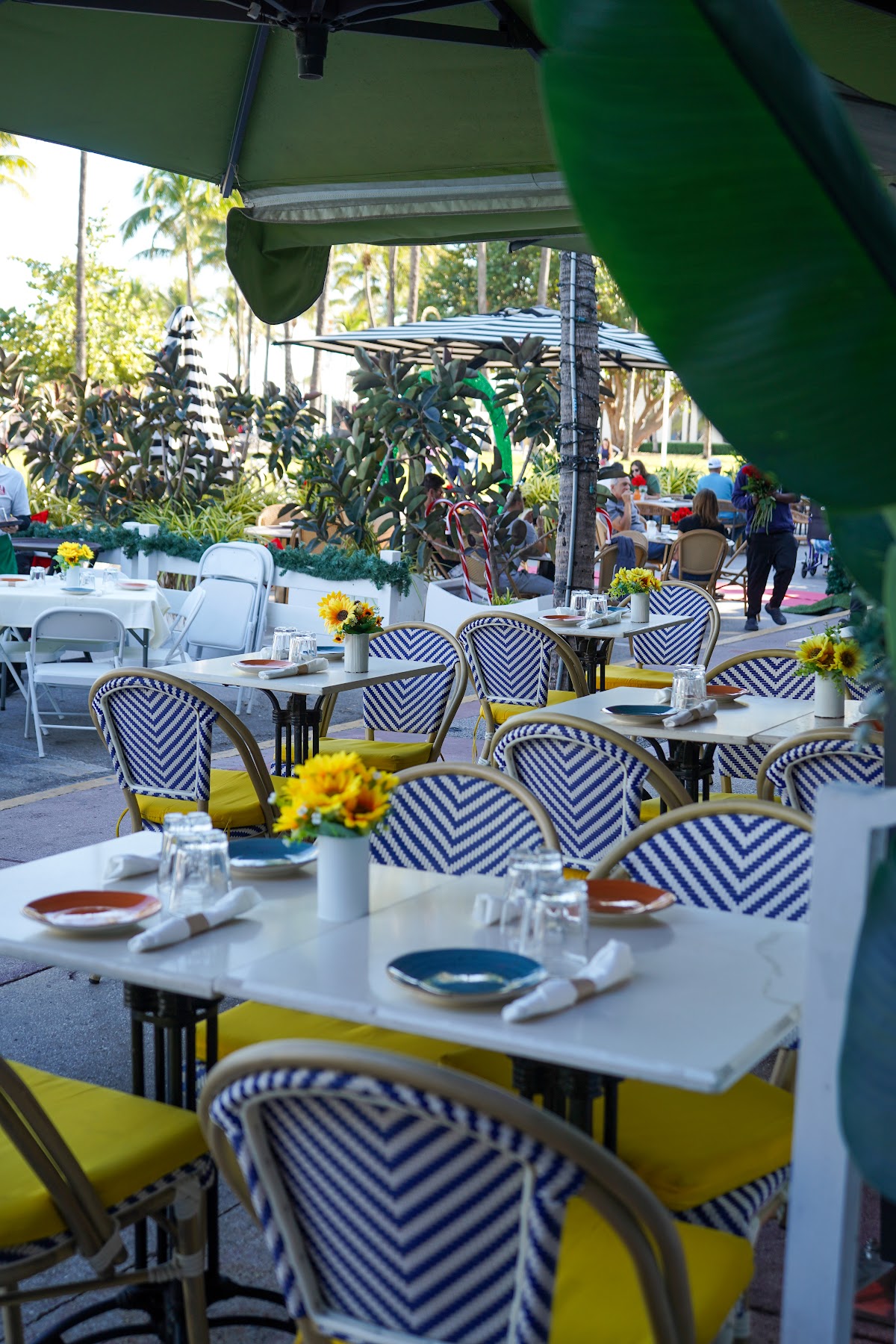 Alma Cubana | Cuban Restaurant Miami Beach