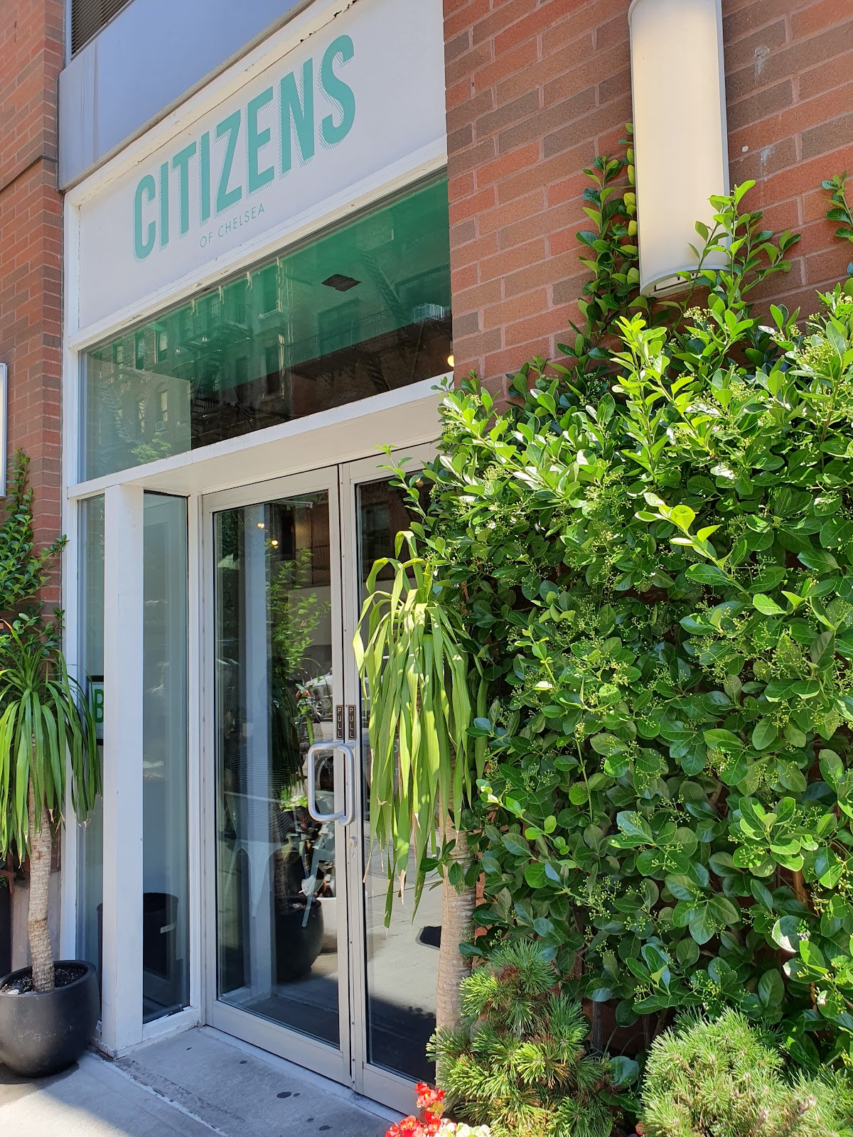Citizen of Chelsea