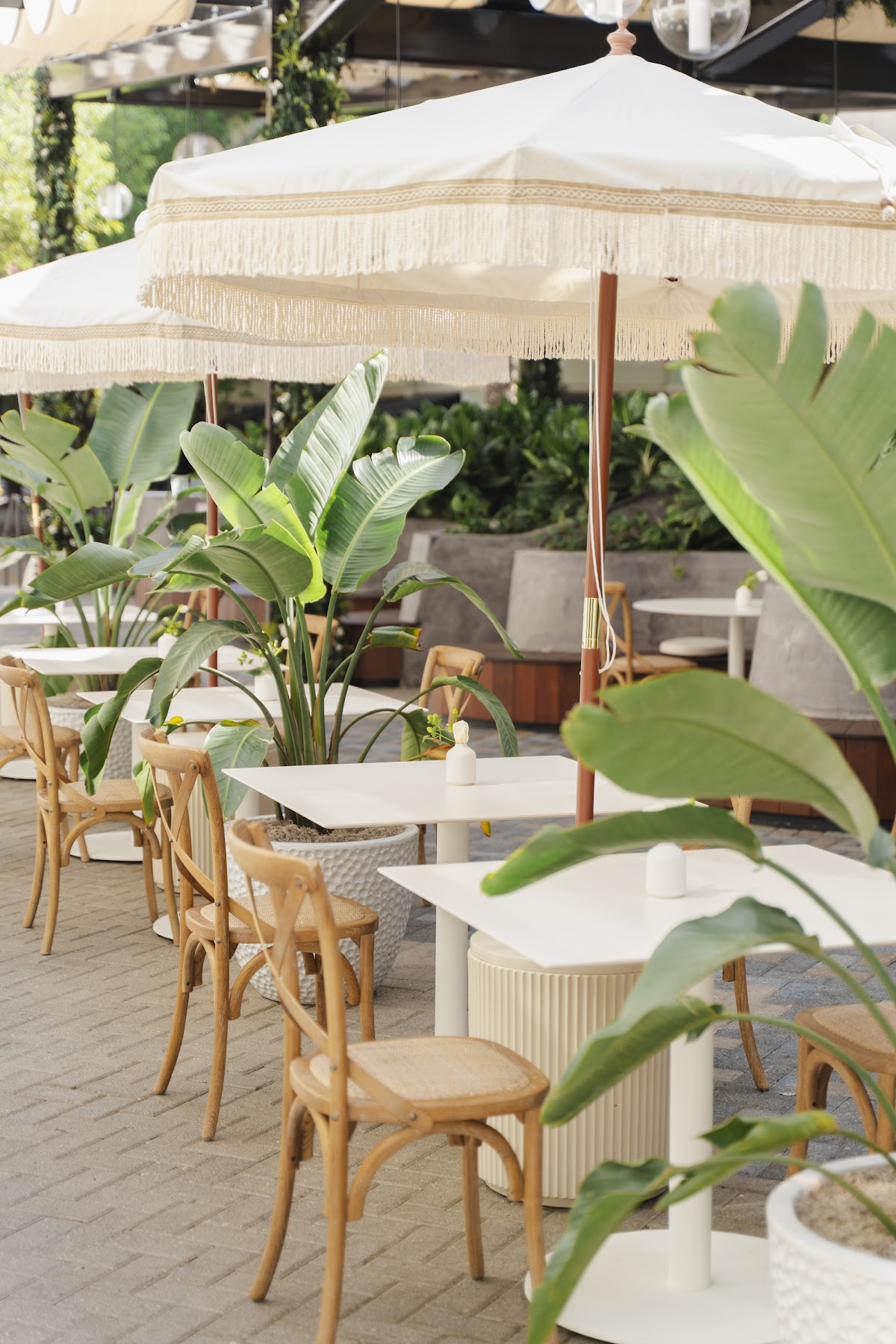 Avo Miami