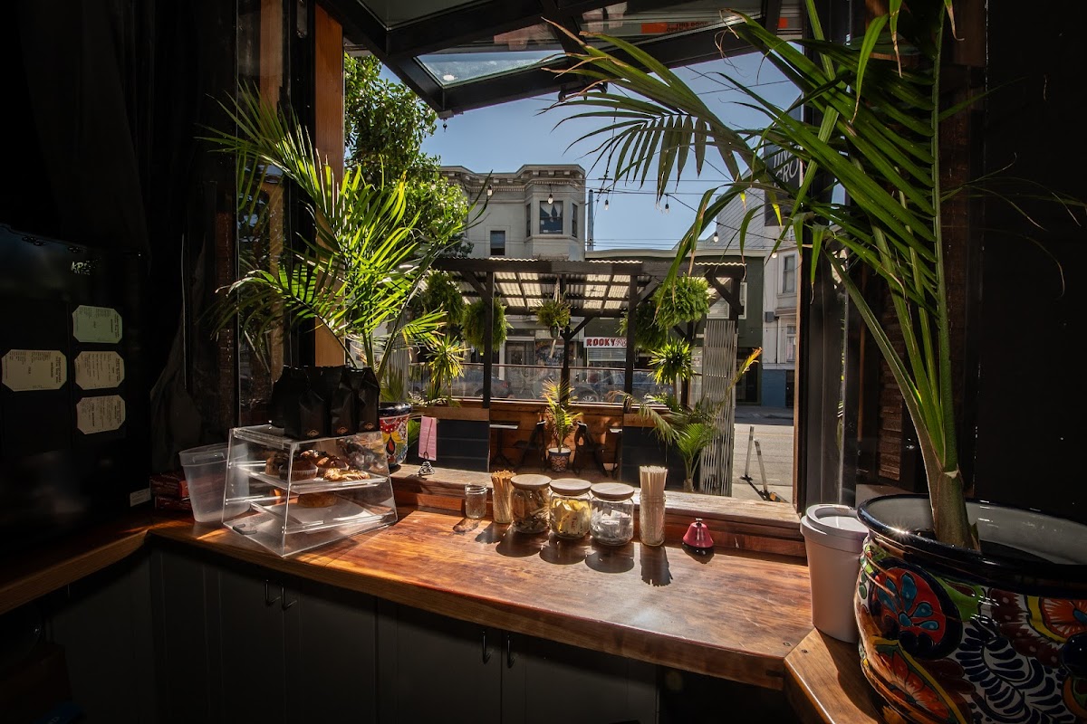 Underground SF Coffeshop